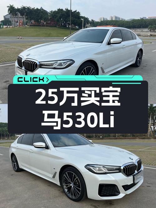 25万预算，圆你蓝天白云梦！2021款宝马530Li，7.2万公里一手车况