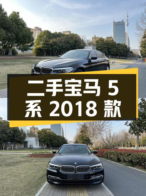 二手宝马 5 系：2018 款 525Li 豪华套装