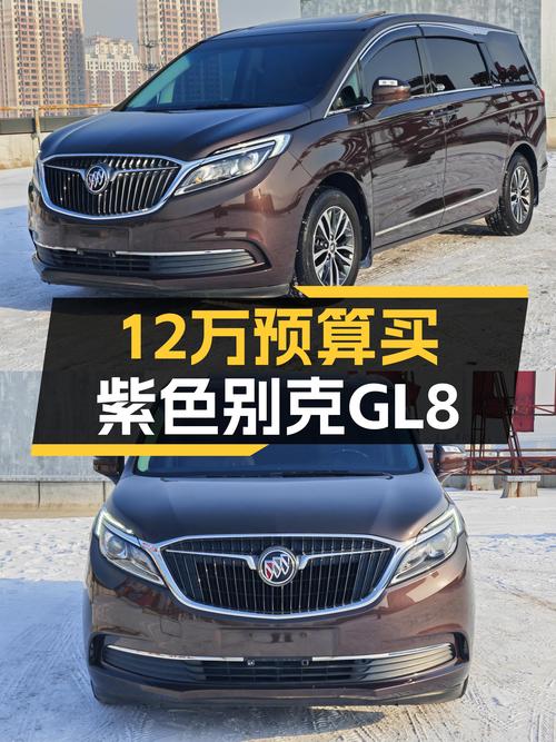 家用大空间MPV，12万预算就能入手这台紫色别克GL8？