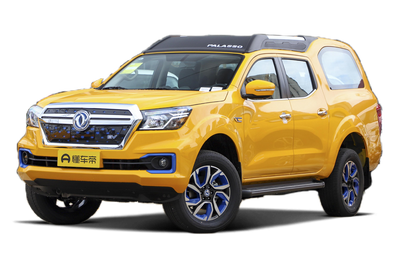 帕拉索 EV 2025款 429km 厢式远航版