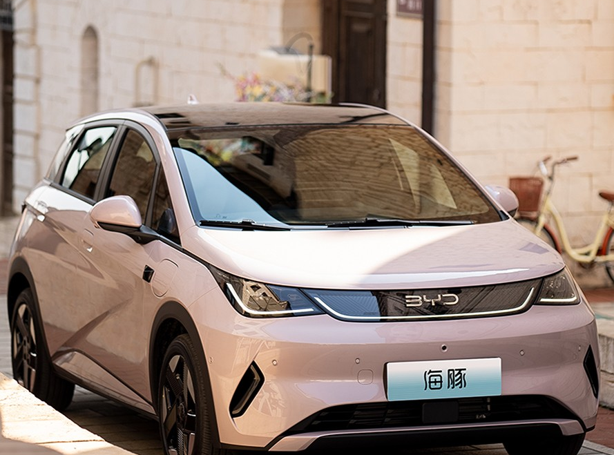 为什么选海豚话题封面图