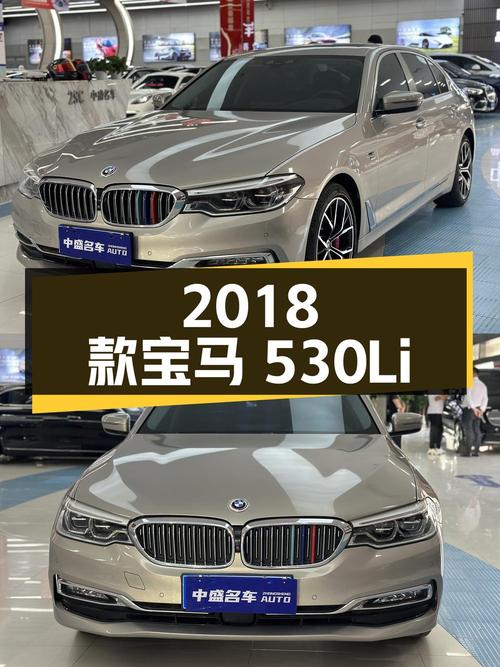 2018 款宝马 530Li xDrive 豪华套装，9.2 万公里，25.28 万