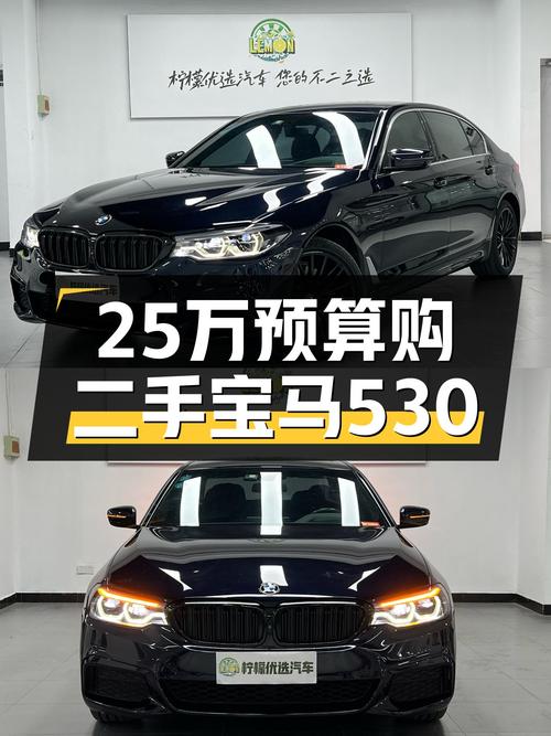 25万预算圆梦蓝天白云，一手宝马530Li，运动轿车如何选？