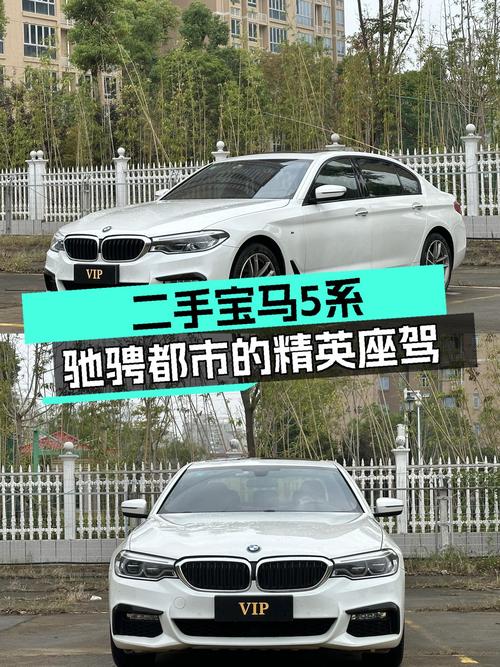 驰骋都市的精英座驾——二手宝马5系，8.4秒破百！