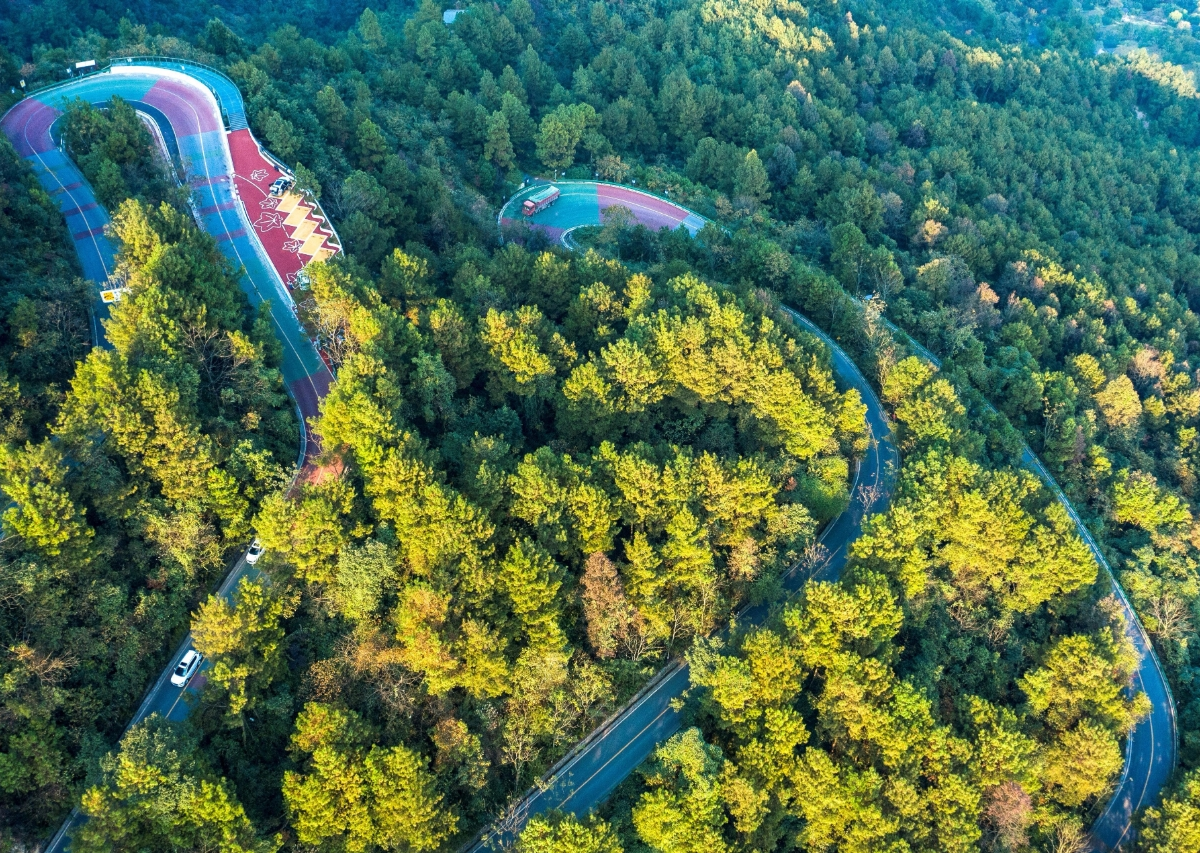 车轮滚滚话题封面图