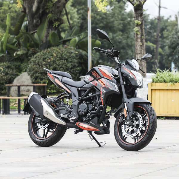 无极 300R 2022款 金卡纳版厂商_基本信息图