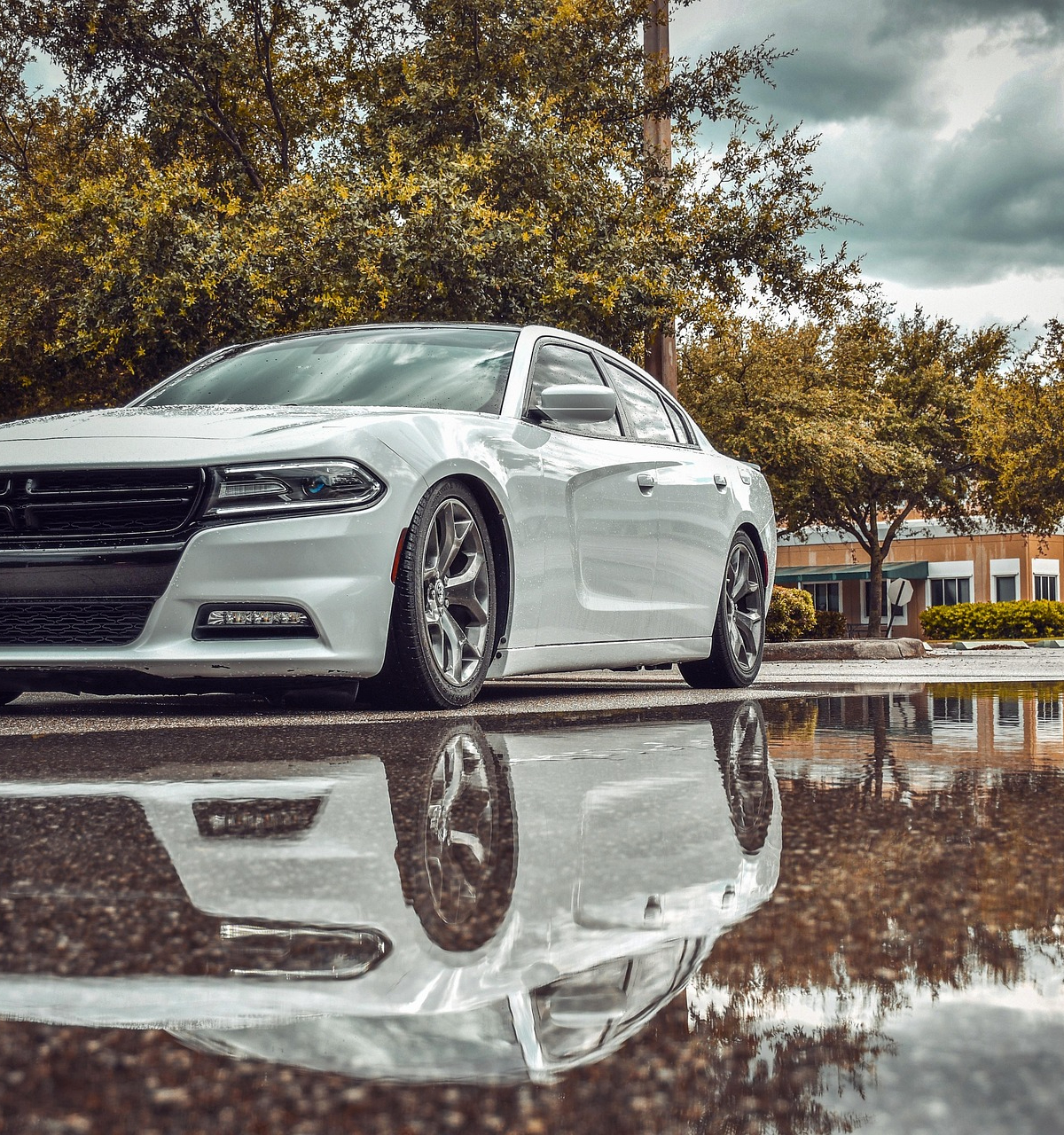 爱车最上镜的角度话题封面图