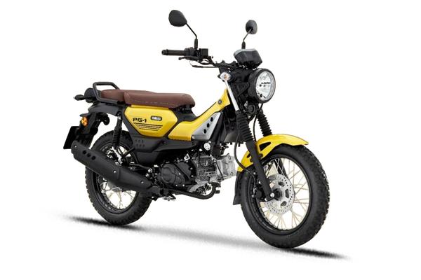 雅马哈 PG-1 2024款 标准款级别_基本信息图