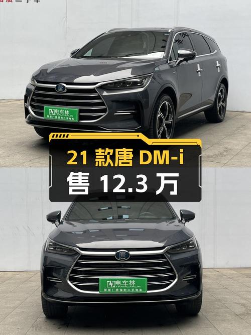 12.3万入手 21款比亚迪唐 DM-i，四驱高性能尊荣型，重庆车源