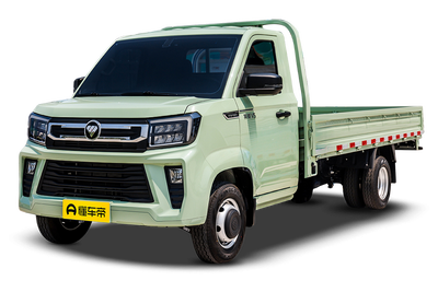 祥菱V5 2025款 祥菱V5 1.6L 重载单排平板