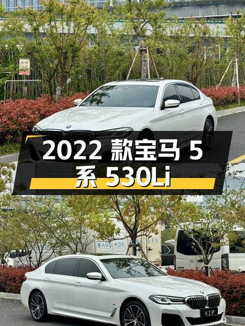 32.8万的 2022款宝马 5系 530Li 领先型 M运动套装，白色3.8万公里