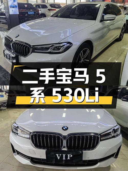 二手宝马 5 系 2021 款 530Li 领先型 豪华套装，仅行驶 8.7 万公里