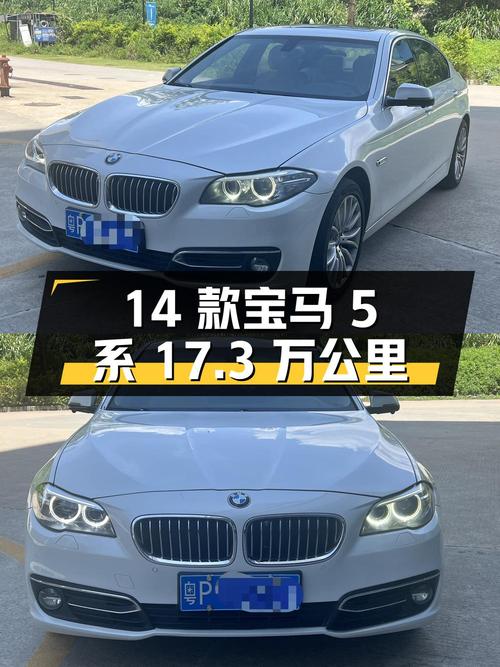 10.58万的 2014款宝马 5系，17.3万公里，河源车，2次过户
