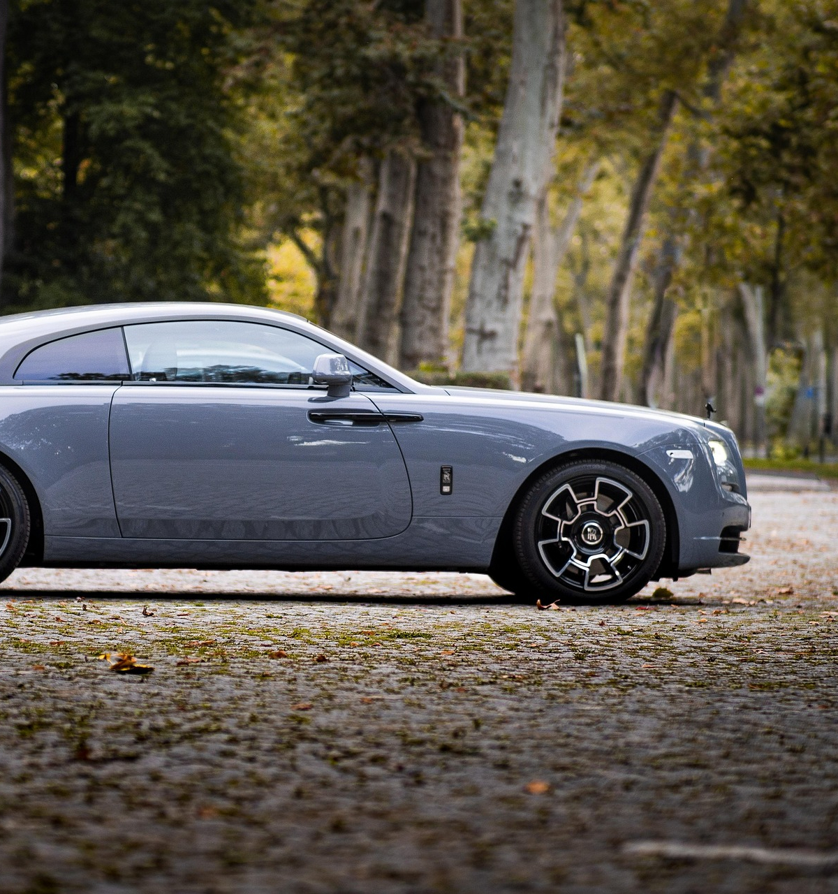 爱车和秋天的第一张合照话题封面图