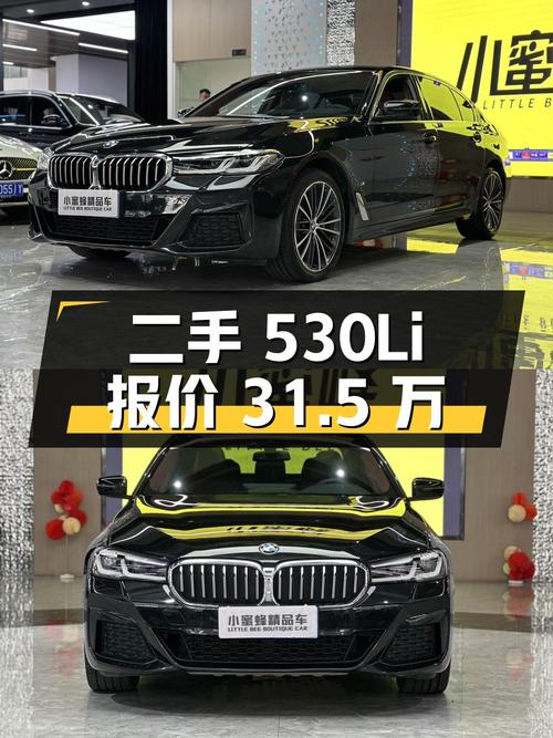 二手宝马 5 系 530Li 领先型 M 运动套装，报价 31.5 万