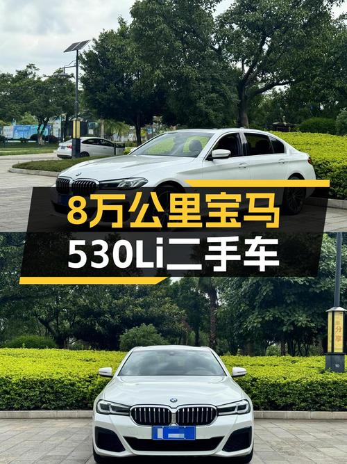 8万公里宝马530Li M运动套装，30万出头体验蓝天白云！