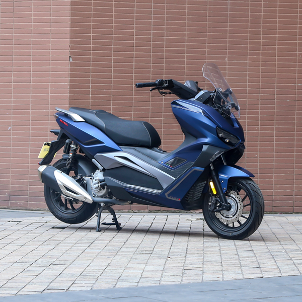 龙嘉 V MAX ie 300 2019款 极速版厂商_基本信息图