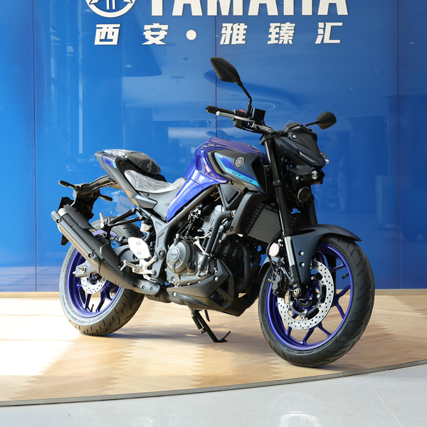 雅马哈 MT-03 2025款 标准版厂商_基本信息图