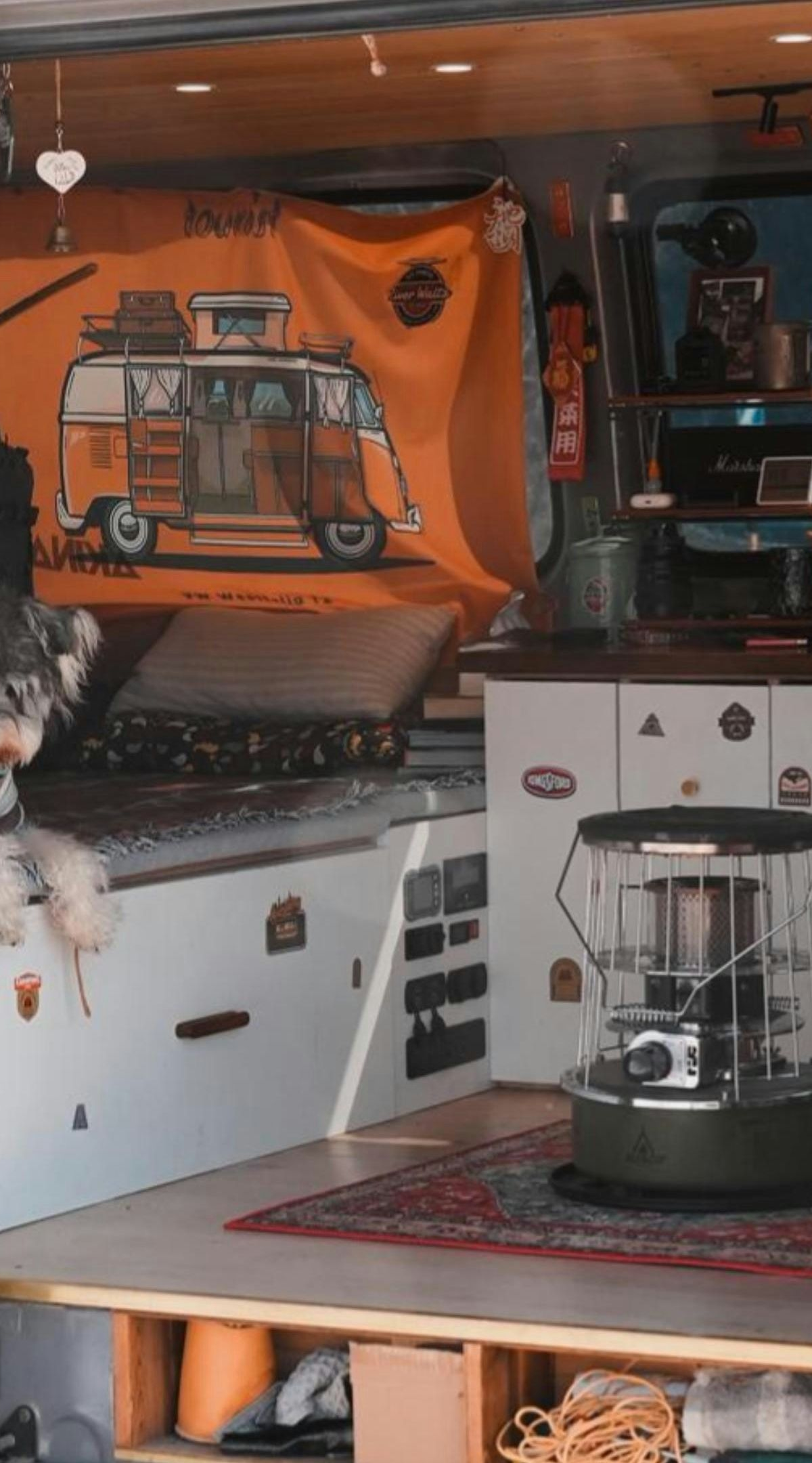 车内实用小电器话题封面图