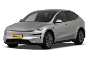 Model Y L