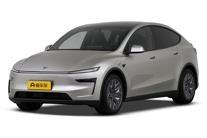 Model Y L