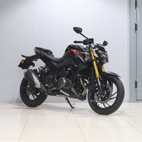 豪爵 DR250 2021款 标准版级别_基本信息图
