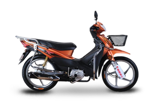隆鑫 采悦LX110-39