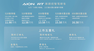 AION RT正1814978123634825图片