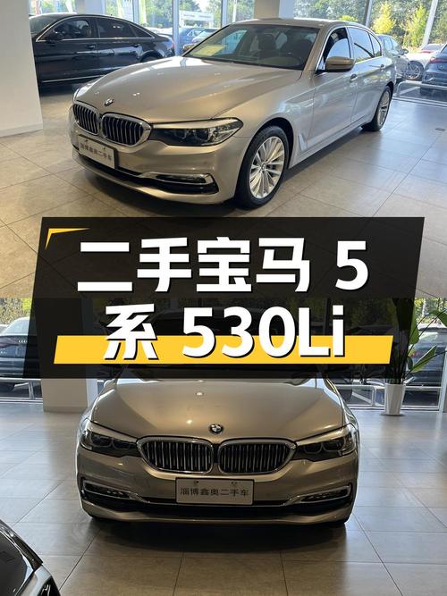 二手宝马 5 系：2018 款 530Li 领先型 豪华套装