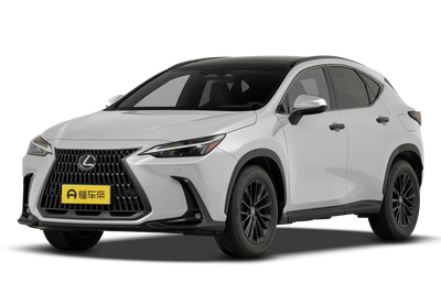 雷克萨斯NX 2025款 260 前驱 十周年特别限量版