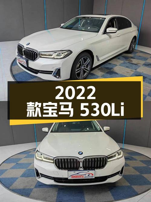 2022 款宝马 530Li 领先型 豪华套装，3.4 万公里，原版原漆