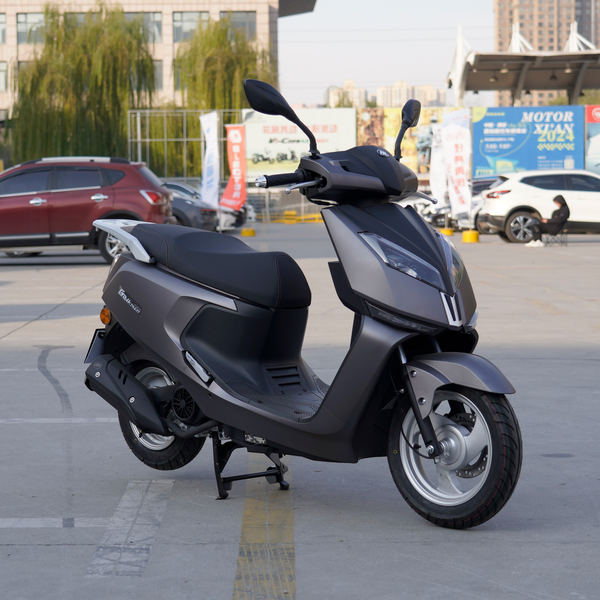 力帆 灰狗 2024款 标准版厂商_基本信息图