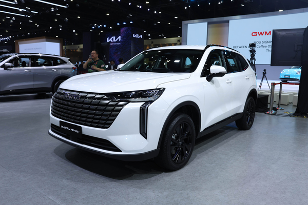 哈弗H6 2025款 HEV 海外版后悬挂形式_底盘/转向图