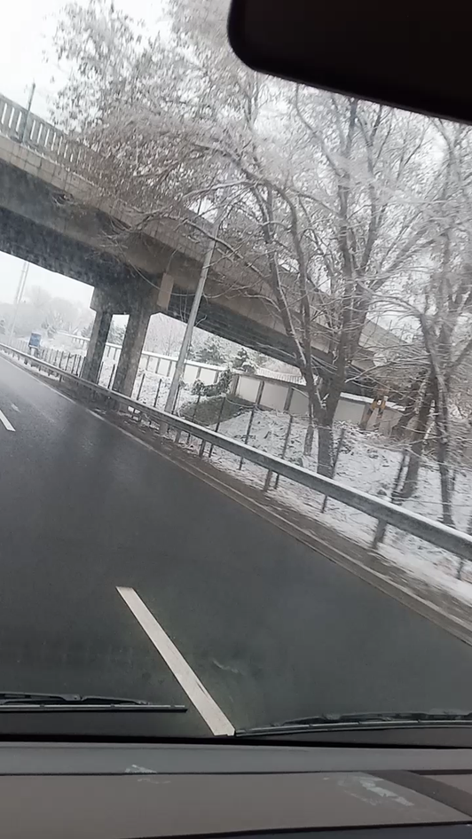 昨天下午北京的第一场雪，早上的树挺漂亮视频1