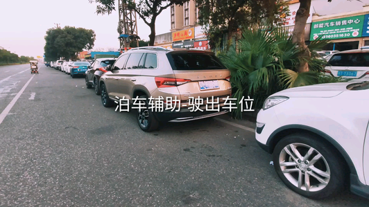 大众斯柯达-柯迪亚克，自动泊车辅助系统驶出侧方停车位演示。视频1