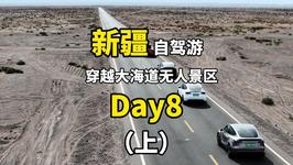 新疆自驾游第八天、9人4车、穿越中国唯一合法无人区景区