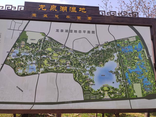 龙泉湖湿地公园